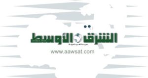 ارتياح في الجزائر لتأييد فرنسا الدستور الجديد