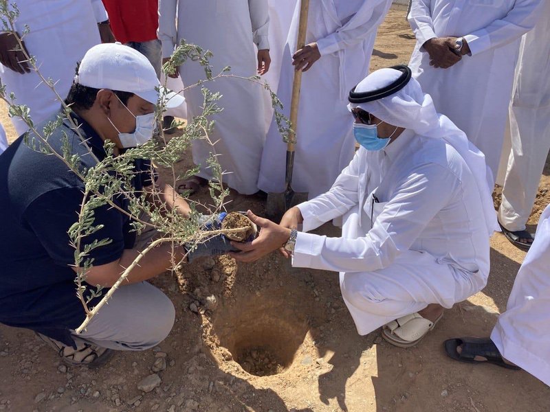 المهد.. انطلاق حملة “لنجعلها خضراء” لدعم الغطاء النباتي ومكافحة ا