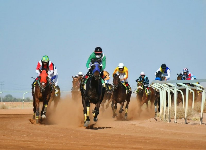 ميدان الفروسية بحائل يقيم سباقه الثاني لهذا العام من 5 أشواط