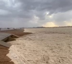 بالفيديو.. أمطار غزيرة تُجري أحد الشعاب جنوب مدينة حائل