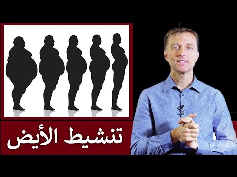 تنشيط الأيض لتسريع حرق الدهون | خلاصة خبرة دكتور بيرج