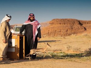 بمتابعة &quot;ولي العهد&quot;.. &quot;الاقتصاد&quot; يتنفس و&quot;التنمية&quot; تنطلق