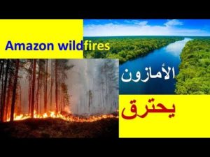 حرائق هائلة تلتهم غابات الأمازون Amazon wildfires .. Amazon rainforest