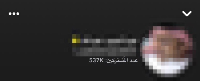 «سناب شات» يكشف الأرقام الحقيقية لمشتركي النجوم.. ويفضح «المزايدين» – أخبار السعودية