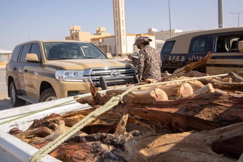 «الأمن البيئي» تضبط 16 طناً من الحطب المعد للبيع في الرياض – أخبار السعودية