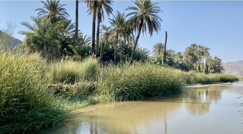 شاهد “وادي قنونا”.. طبيعة ساحرة وخدمات مفقودة