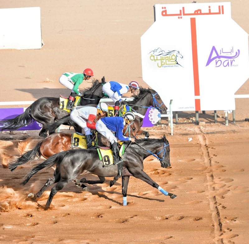 الجوائز 40 ألفًا.. سباق ميدان الفروسية الرابع بحائل يتأهب للانطلا