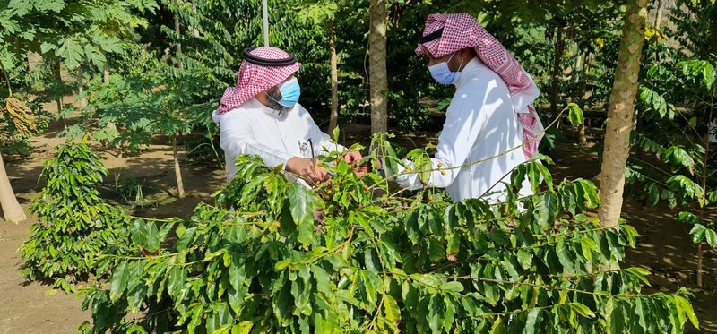 فريق بحثي من مدينة “عبدالعزيز للعلوم والتقنية” يزور “تطوير المناط