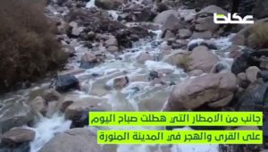 جانب من الأمطار التي هطلت صباح اليوم (الأحد) على القرى والهجر في المدينة المنورة.
تصوير: بندر الترجمي @Baltarjami
مونتاج: رانيا الحارثي @Rania_Huss – أخبار السعودية