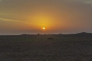 شاهد أجواء تهامة الباحة.. أمطار وضباب وأودية جارية