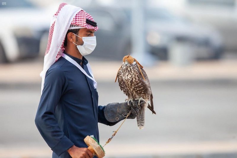 الإثارة تتواصل بمهرجان المؤسس.. 192 صقّارًا يتنافسون على 6 أشواط