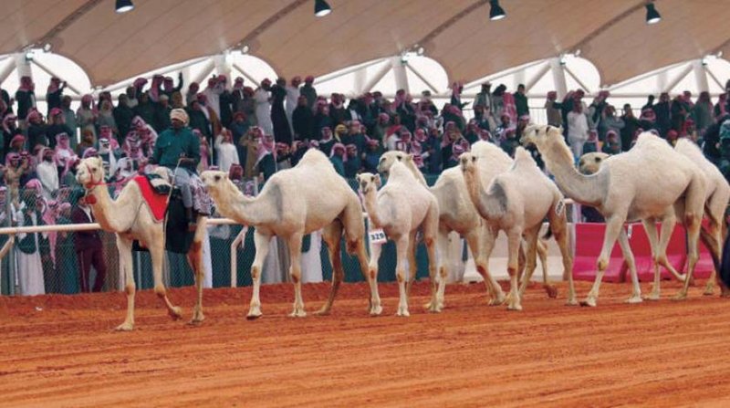 “النادر” يشعل منافسات المجاهيم ويخطف الأول في بريق المؤسس