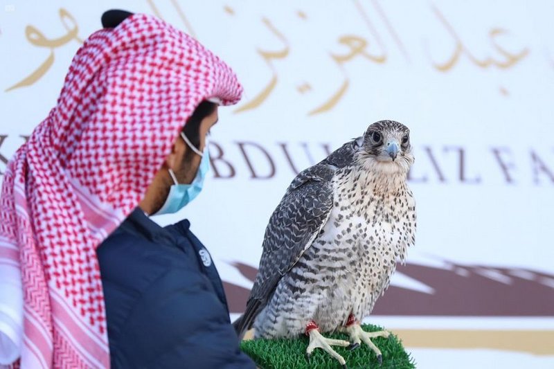 “مهرجان الملك عبدالعزيز للصقور” يسدل الستار على أشواط ملواح الدول