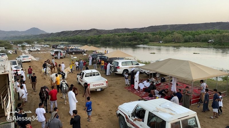 جمال متنزه “وادي حلي البري” يجذب الزوَّار من مختلف مناطق السعودية