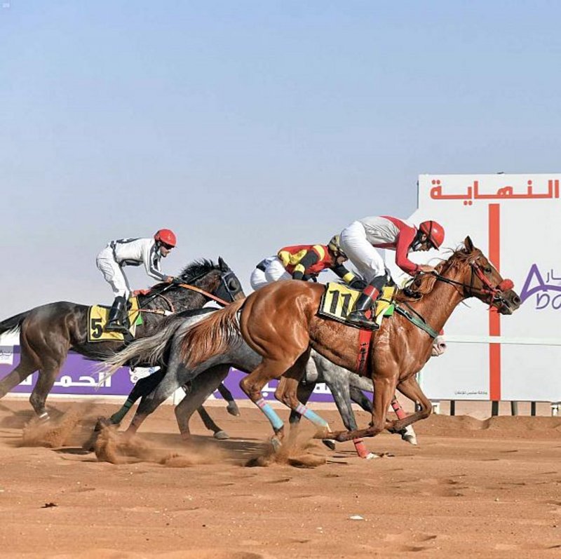 بجوائز تصل إلى 44 ألف ريال.. ميدان فروسية حائل ينظّم غدًا حفل سبا