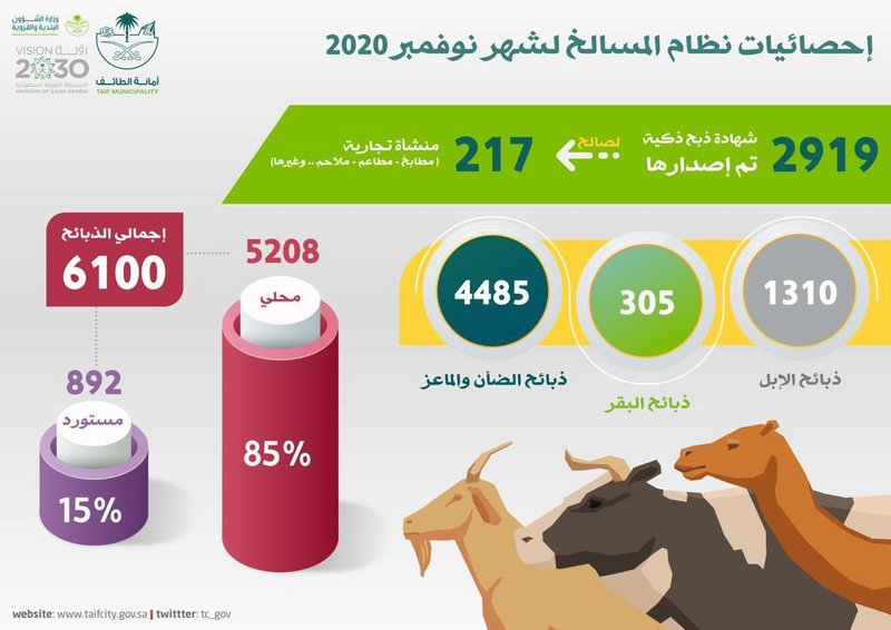 أمانة الطائف تُقدم مبادرة تطبيق “لحومي” الذكي