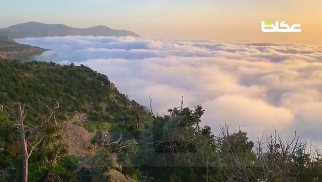 عدسة “عكاظ” ترصد منظر طبيعي خلاب للسحب من أعالي جبال بللسمر الشُمّ ، وتتشكّل أمواج من السحب مع الجبال لترسم للمشاهد لوحة فنية بديعة من صُنع الخالق – أخبار السعودية