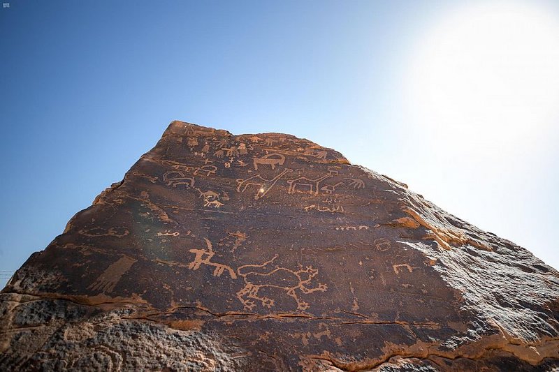 “شتاء السعودية” في حائل.. باقات نموذجية تجذب عشّاق الصحراء