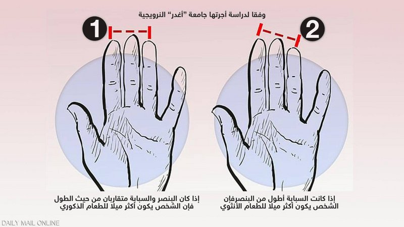 ذكوري أم أنثوي.. علاقة غريبة بين أصابع اليد وخياراتنا في تناول ال