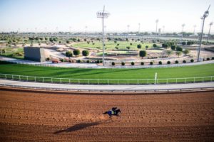 المصادر الخاصة لأشهر مدربي الخيل في العالم حول أرضية الميدان السع