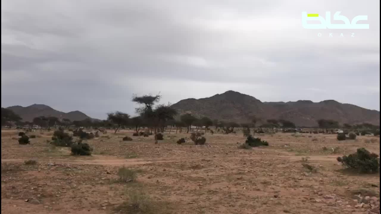 عكاظ ترصد توافد الأهالي على المنتزهات البرية غرب المدينة المنورة مساء اليوم الجمعة في أجواء ممطرة وغائمة – أخبار السعودية