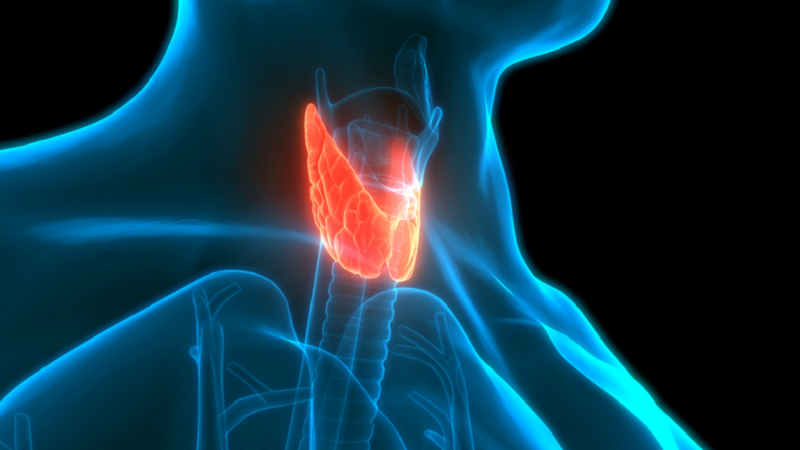 عامل “غير متوقع” يزيد خطر الإصابة بسرطان الغدة الدرق