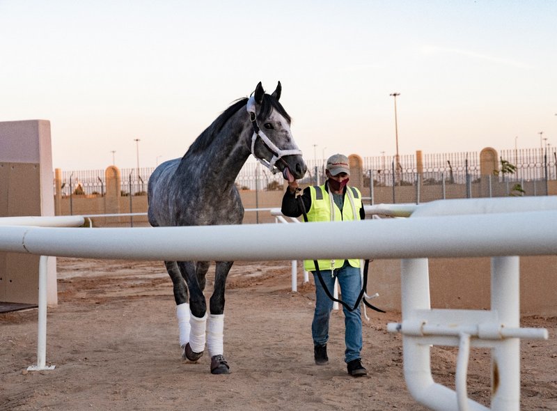 الخيل الأمريكية تحط رحالها في الرياض للمواجهة الكبرى على “كأس الس