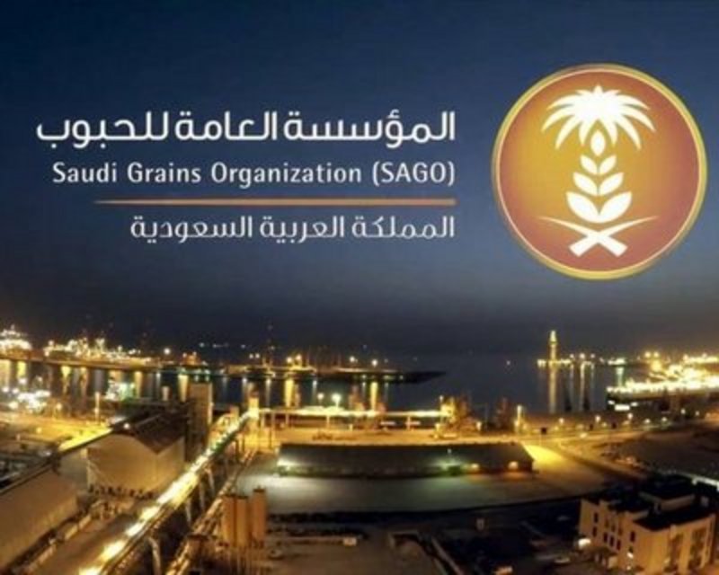 1375 ريالاً للطن.. اعتماد سعر شراء القمح من المزارعين المحليين