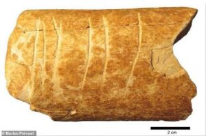 عمرها 120 ألف عام… اكتشاف أقدم الرموز البشرية على عظمة بقرة منقرضة