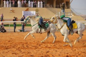 3 بطولات للفروسية تختتم فعالياتها بميدان القصب.. ورئيس الاتحاد يت