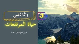 حياة المرتفعات | من الجزيرة الوثائقية – HD