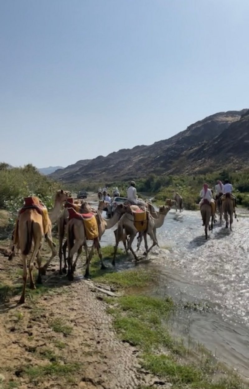 رحالة “خِفاف” يختتمون رحلة استكشاف الساحل الغربي