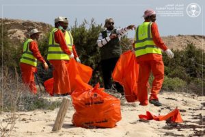 شاهد.. انتشال طن نفايات ضمن إعادة تأهيل جزيرة جبل الصبايا