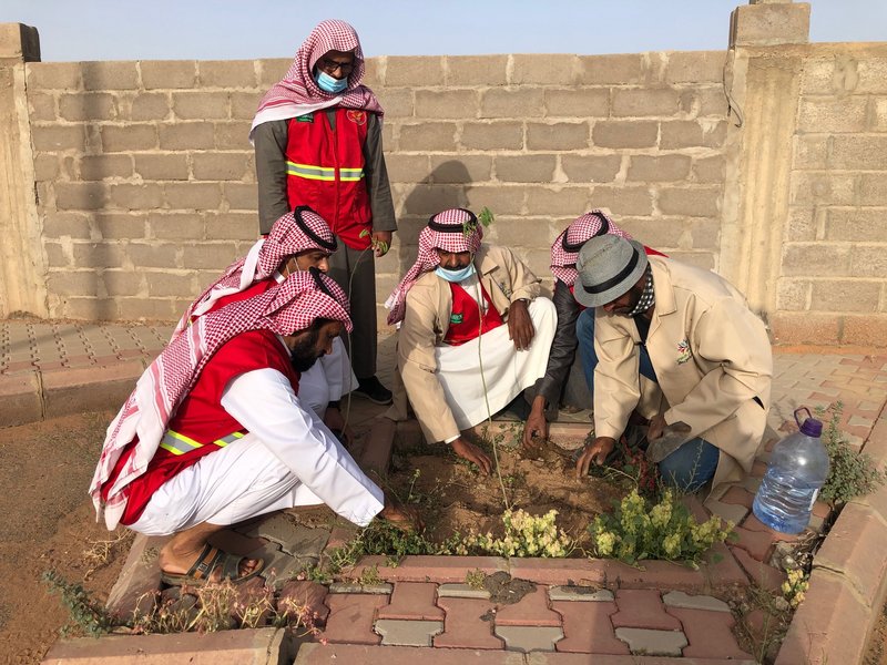 الاعتناء بزراعة الأشجار مطلب.. وتنظيف المتنزهات واجب