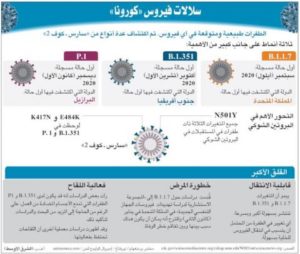 إنفوغراف: أبرز 3 سلالات لفيروس «كورونا» ودرجة خطورة كل منها