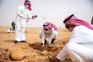 مشاركة المتطوعين تعضد جهود الدولة لحماية البيئة والغطاء النباتي