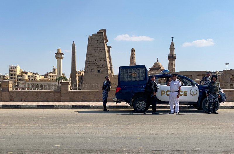 مصر.. ضبط المتهم بشنق كلب حتى الموت