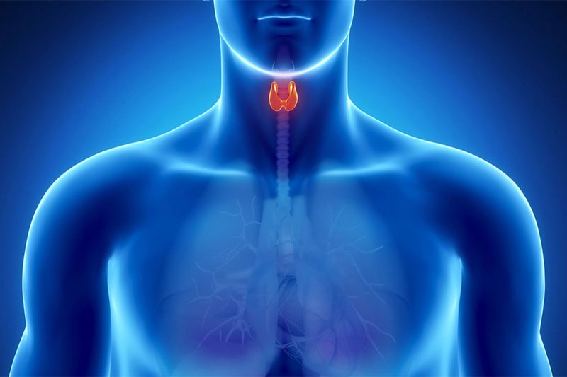 7 أساطير حول الغدة الدرقية.. متى نلجأ للطبيب؟