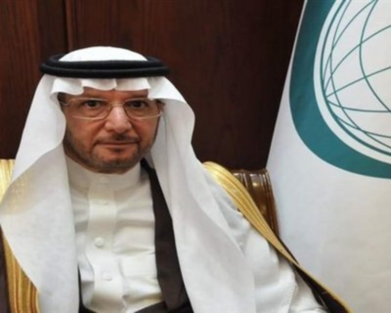 “التعاون الإسلامي” تؤكد ضرورة حلّ الدولتين لتحقيق السلام الشامل