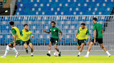 جنوب أفريقيا ورومانيا تجهزان الأخضر للأولمبياد