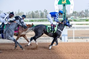 الطائف: انطلاق فعاليات الحفل الأول لموسم سباقات الخيل – أخبار السعودية