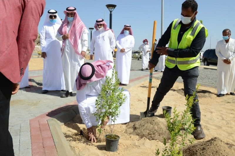 زراعة الجاكرندا والحور والفيكس واللبخ في «تشجير 2021» بجامعة الملك خالد – أخبار السعودية