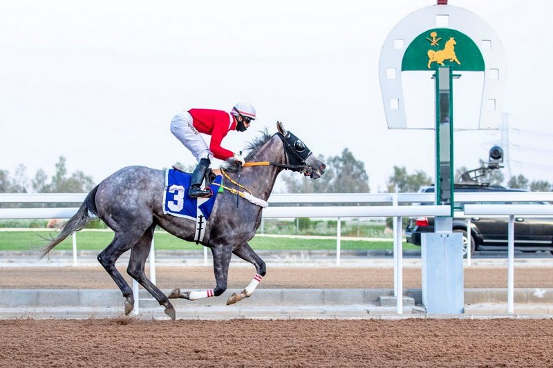 في الطائف .. نادي سباق الخيل ينظم حفل سباقه الثاني على جائزة النا