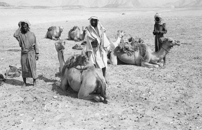 أغرب من الخيال.. قصة المرأة الميتة التي أرضعت طفلها في حائل