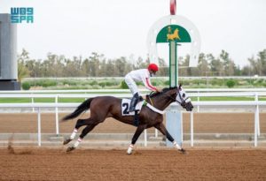 “نادي سباقات الخيل” يقيم حفل سباقه الثامن على كأس وزارة النقل وجا