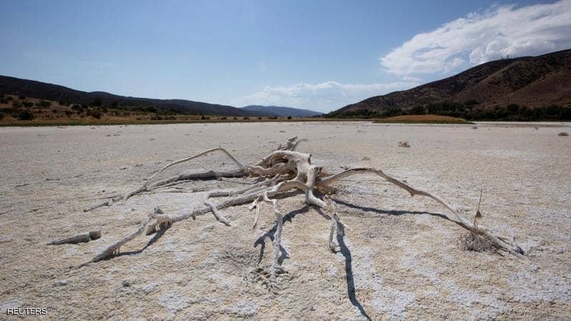 بينها الأفاعي والدببة.. الجفاف يدفع حيوانات برية للتجول بين المنا