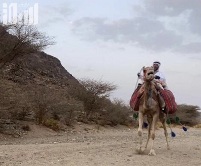 رسالة تمزج الماضي بالحاضر.. “الشاهين” يتحدى الصعاب في رحلته المشو