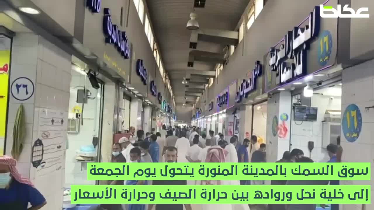 رواد سوق السمك في المدينة.. بين حرارة الصيف ولهيب الأسعار