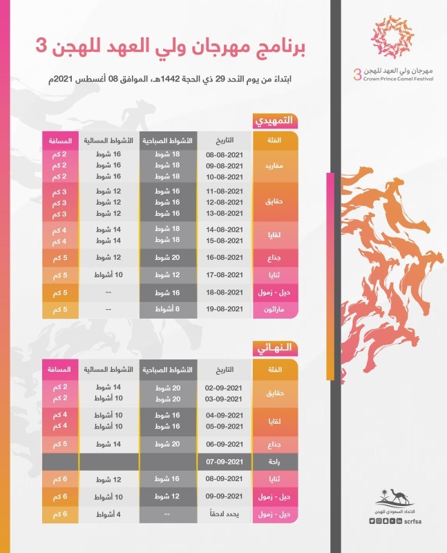 انطلاق مهرجان ولي العهد للهجن في أغسطس بجوائز تبلغ 53 مليون ريال – أخبار السعودية