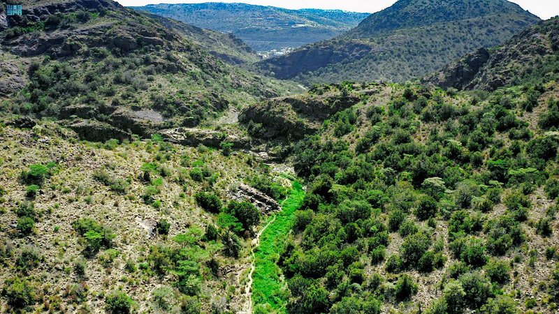 لاحق الدهشة والمغامرة بعسير.. سلّم لسحر الطبيعة والتقط صورك من ال